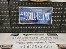 Load image into Gallery viewer, Absolutely Not License Plate