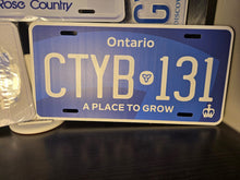 Load image into Gallery viewer, Custom Order for Souvenir Novelty Aluminum License Plates of all Sizes