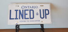 Load image into Gallery viewer, *LINED UP* Customized Ontario Car Size Novelty/Souvenir/Gift Plate