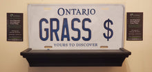 Load image into Gallery viewer, *GRASS $* : Hey, Want to Stand Out From The Crowd? : Customized Any Province Car Style Souvenir/Gift Plates