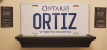 Load image into Gallery viewer, *ORTIZ* : Personalized Name Plate: Souvenir/Gift Plate in Car Size