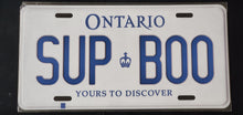 Load image into Gallery viewer, *SUP BOO* : Personalized Style Souvenir/Gift Plate in Car Size