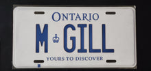 Load image into Gallery viewer, *M GILL* : Personalized Style Souvenir/Gift Plate in Car Size
