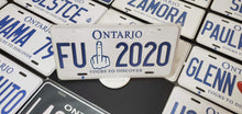 Load image into Gallery viewer, Custom Car License Plate: FU 2020