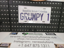 Load image into Gallery viewer, GRUMPY 1  : Custom Car Plate Ontario For Novelty Souvenir Gift Display Special Occasions Mancave Garage Office Windshield
