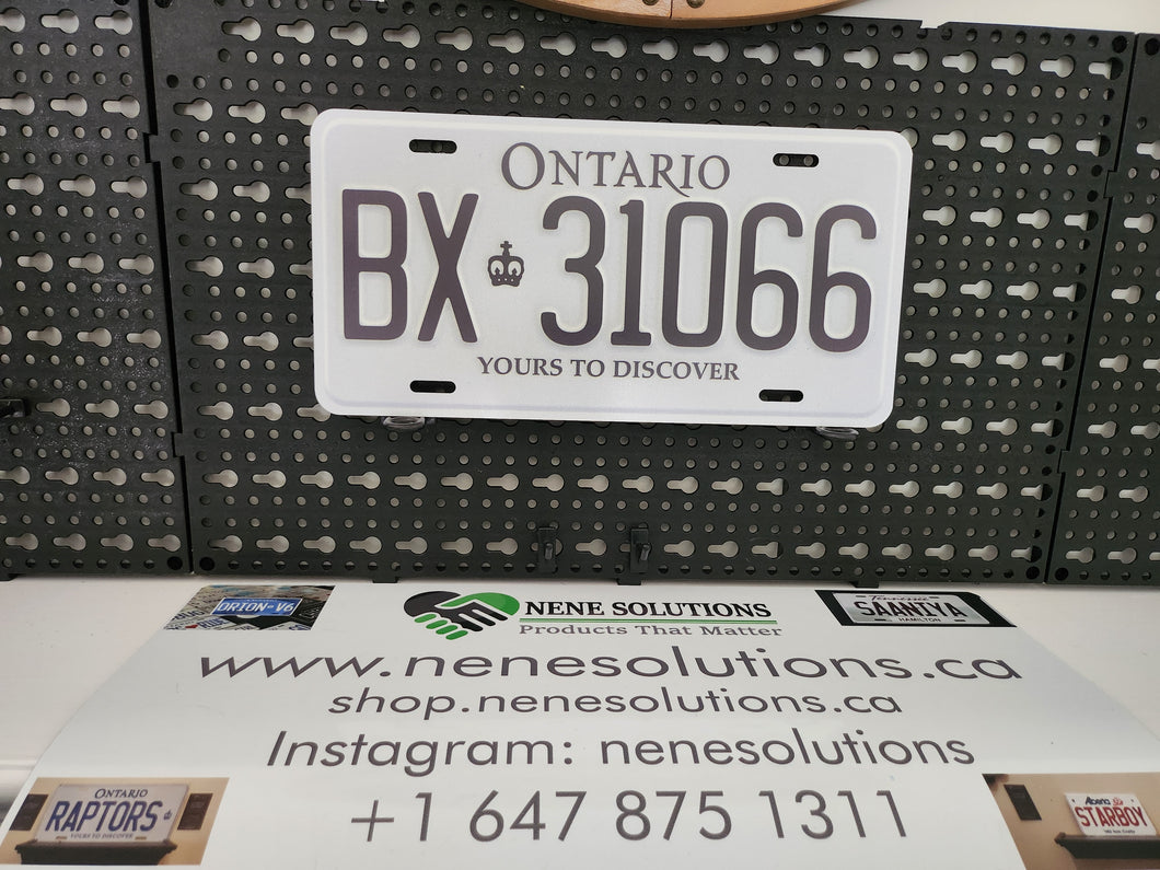 BX 31066
