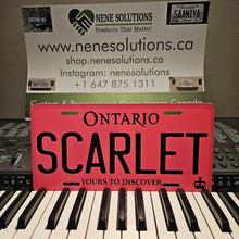 Load image into Gallery viewer, Ontario Custom Color Edition License Plate Personalized Name Tag Aluminum Display Plate
