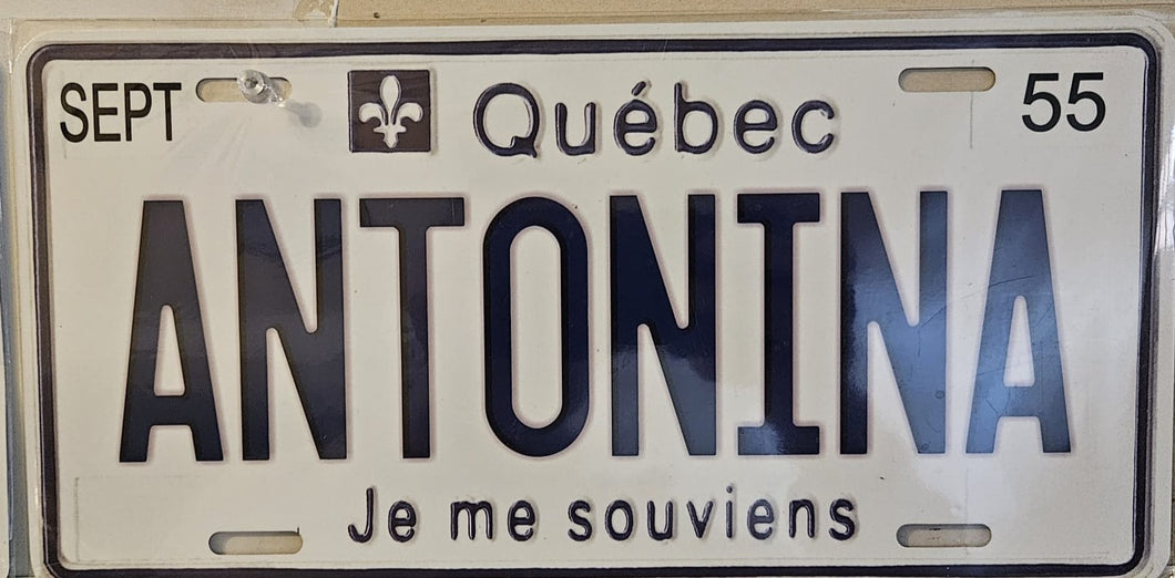 ANTONINA : Custom Car Quebec For Off Road License Plate Souvenir Personalized Gift Display