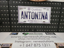 Load image into Gallery viewer, Antonina  License Plate
