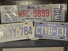 Load image into Gallery viewer, Custom Order for Souvenir Novelty Aluminum License Plates of all Sizes
