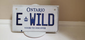 *E WILD* :  Your Custom Message on Bike Plate Size Customized Novelty/Souvenir/Gift Plate