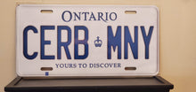 Load image into Gallery viewer, *CERB MONEY* : We Can Even Put $$ On A Plate  : Customized Ontario Car Style Souvenir/Gift Plates
