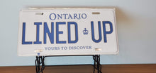Load image into Gallery viewer, *LINED UP*  Customized Ontario Car Size Novelty/Souvenir/Gift Plate
