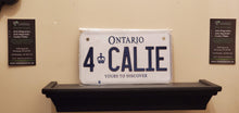 Load image into Gallery viewer, 4 CALIE : Custom Bike Ontario For Off Road License Plate Souvenir Personalized Gift Display
