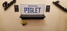 Load image into Gallery viewer, *PIGLET* : Hey, Want To Stand Out From The Crowd? We Do All Canadian Province Plates : Customized Car Style Souvenir/Gift Plates
