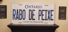 Load image into Gallery viewer, *RABO DE PEIXE* : Hey, Want to Stand Out From The Crowd?  : Customized Any Province Car Style Souvenir/Gift Plates
