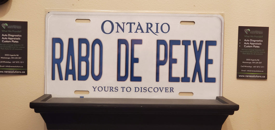 *RABO DE PEIXE* : Hey, Want to Stand Out From The Crowd?  : Customized Any Province Car Style Souvenir/Gift Plates