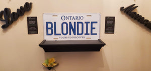 *BLONDIE* : Hey, Want to Stand Out From The Crowd?  : Customized Any Province Car Style Souvenir/Gift Plates