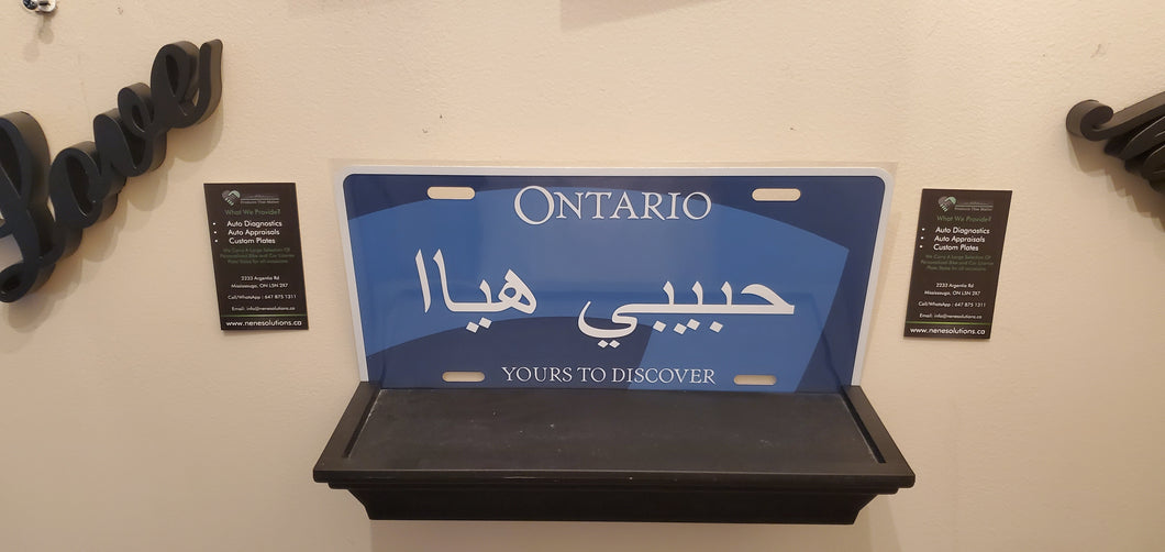 Habibi Hayaa : Custom Car Plate Ontario For Novelty Souvenir Gift Display Special Occasions Mancave Garage Office Windshield