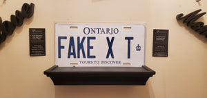 *FAKE X T* : Personalized Name Plate:  Souvenir/Gift Plate in Car Size