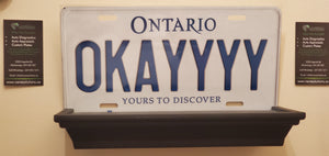 *OKAYYYY * : Personalized Name Plate:  Souvenir/Gift Plate in Car Size