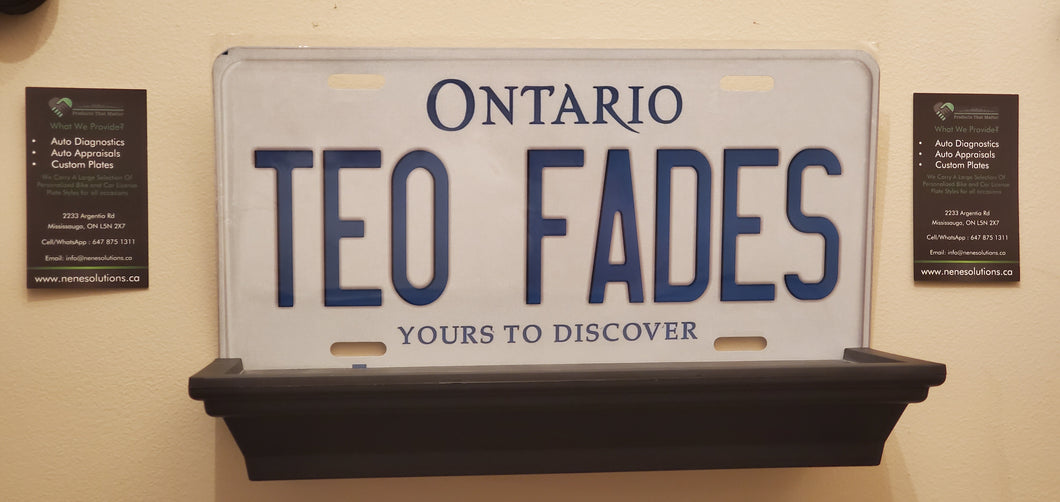 *TEO FADE* : Personalized Name Plate:  Souvenir/Gift Plate in Car Size
