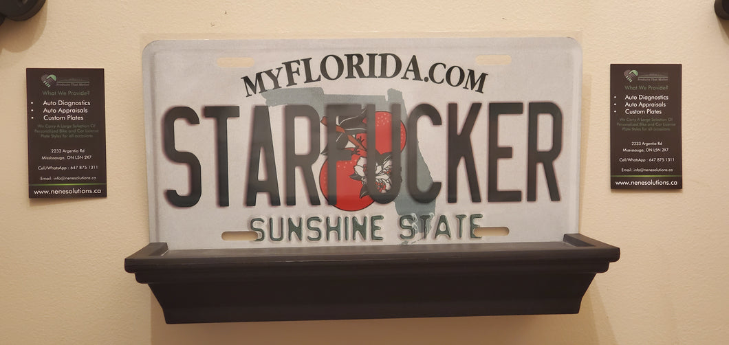 *STARFUCKER* : Personalized Name Plate:  Souvenir/Gift Plate in Car Size