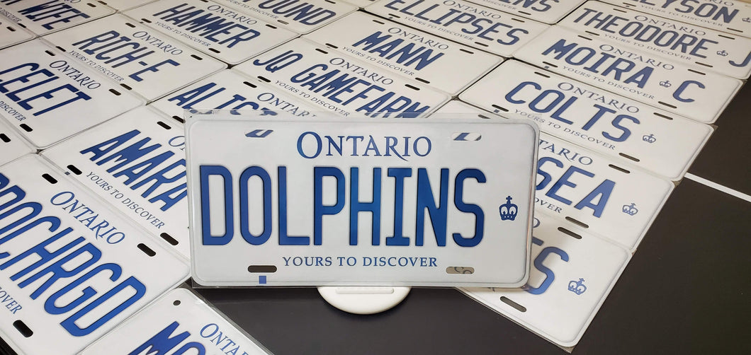 *DOLPHINS* : Hey, Want to Stand Out From The Crowd?  : Customized Any Province Car Style Souvenir/Gift Plates