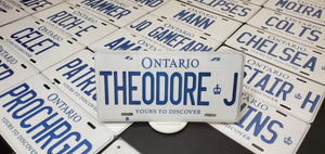 *THEODORE J* : Hey, Want to Stand Out From The Crowd?  : Customized Any Province Car Style Souvenir/Gift Plates