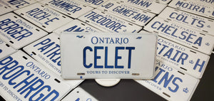 *CELET* : Hey, Want to Stand Out From The Crowd?  : Customized Any Province Car Style Souvenir/Gift Plates