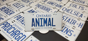 ANIMAL : Custom Car Ontario For Off Road License Plate Souvenir Personalized Gift Display