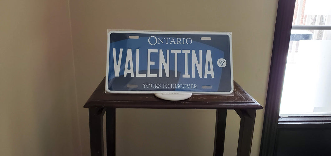 *VALENTINA* : Hey, Want to Stand Out From The Crowd?  : Customized Any Province Car Style Souvenir/Gift Plates