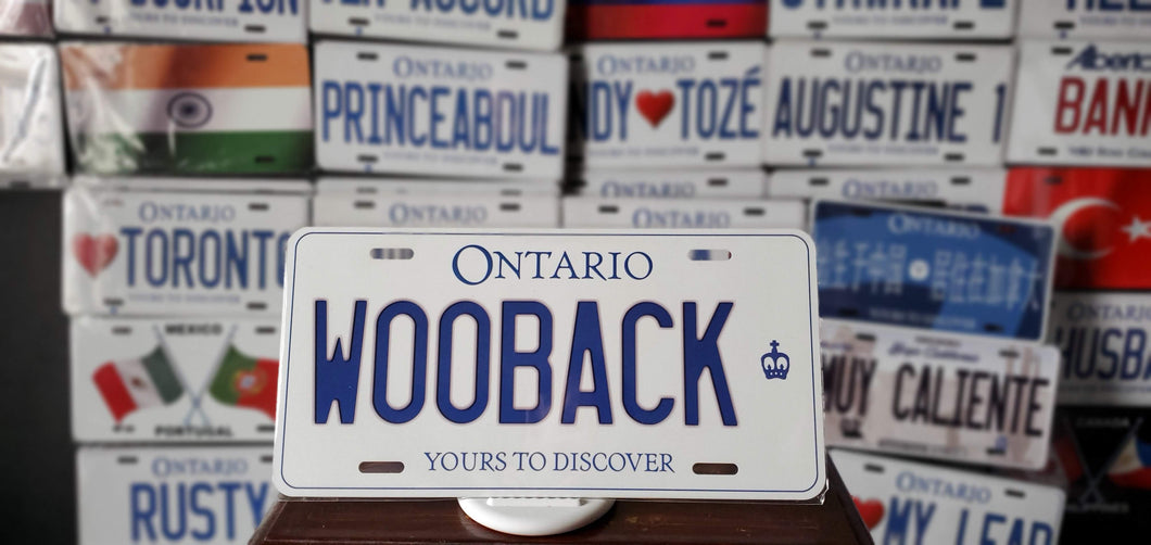 *WOOBACK* : Hey, Want to Stand Out From The Crowd?  : Customized Any Province Car Style Souvenir/Gift Plates