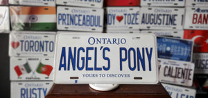 *ANGEL'S PONY* : Hey, Want to Stand Out From The Crowd?  : Customized Any Province Car Style Souvenir/Gift Plates