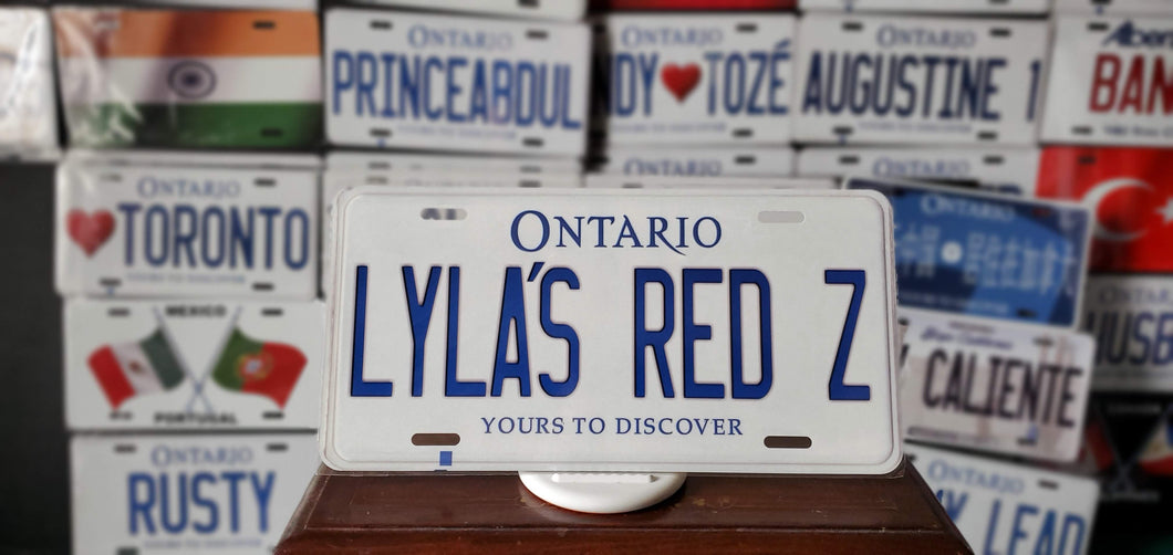 *LYLA'S RED Z* : Hey, Want to Stand Out From The Crowd?  : Customized Any Province Car Style Souvenir/Gift Plates