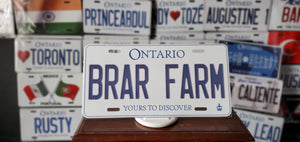 *BEAR FARM* : Hey, Want to Stand Out From The Crowd?  : Customized Any Province Car Style Souvenir/Gift Plates
