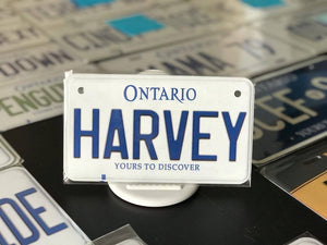 *HARVEY* : Personalized Name Plate:  Souvenir/Gift Plate in Car Size
