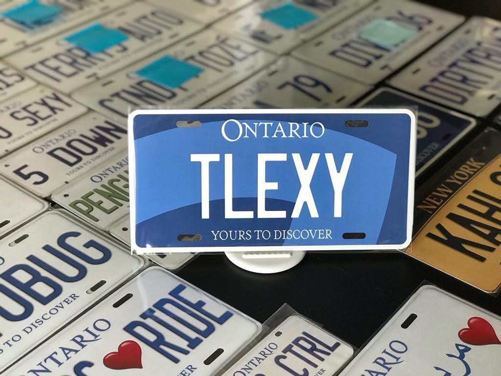 *TLEXY* : Personalized Name Plate:  Souvenir/Gift Plate in Car Size