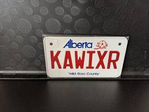 *Various Province Plate Styles*: Bike Plate Size Customized Novelty/Souvenir/Gift Plate