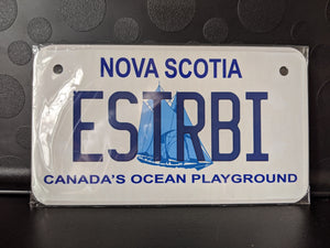 *Various Province Plate Styles*: Bike Plate Size Customized Novelty/Souvenir/Gift Plate