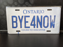 Load image into Gallery viewer, *BYE4NOW* Customized Ontario Car Plate Size Novelty/Souvenir/Gift Plate
