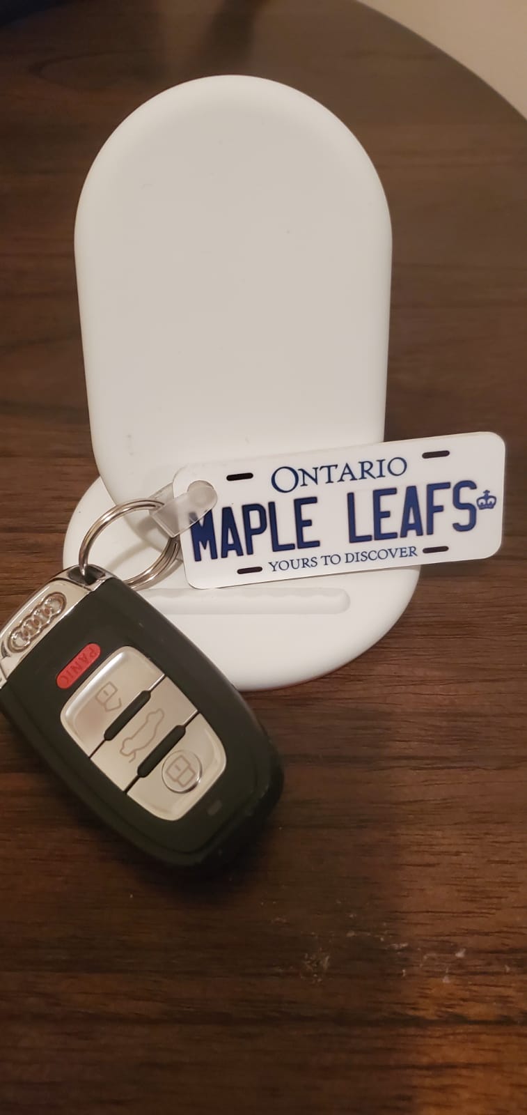 MAPLE LEAFS : Custom Keychains Ontario For Off Road License Plate Souvenir Personalized Gift Display